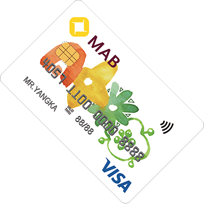VISA Classic Credit Card