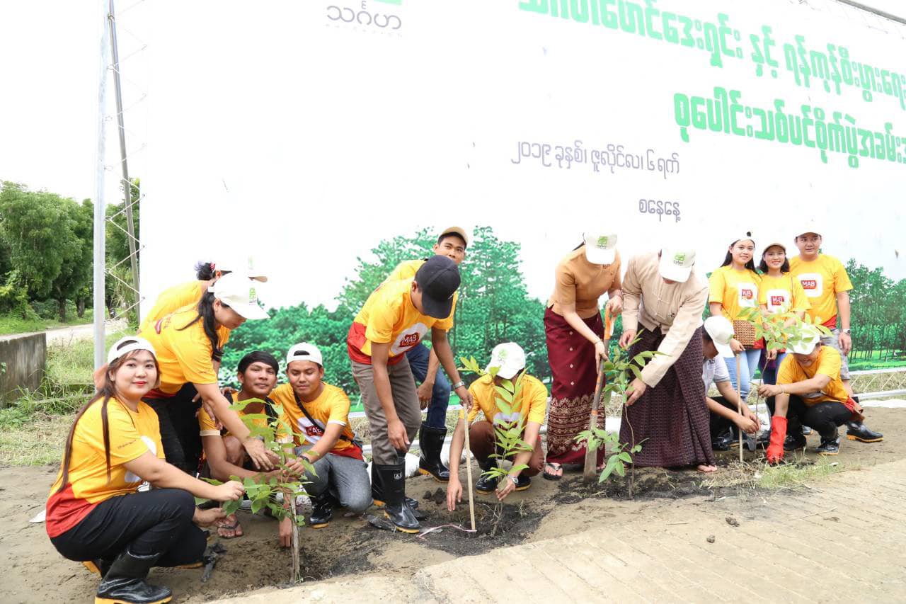 Thingaha Foundation Funded Tree Planting at Yangon Economics University (Ywar Thar Gyi)