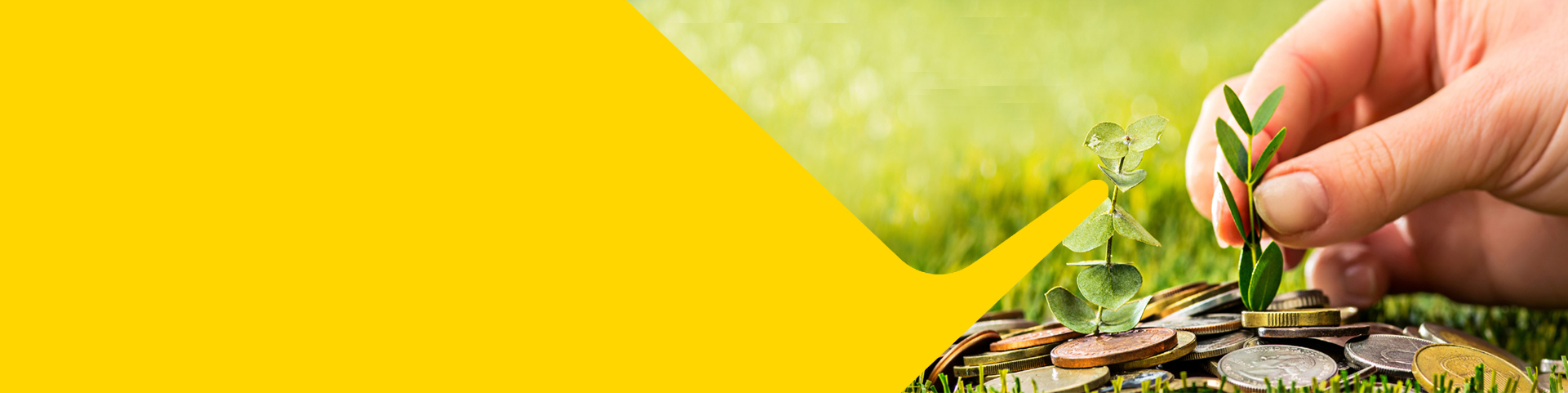mobile-banner
