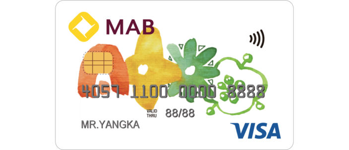 VISA Classic Credit Card
